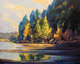 Beach at Gabriola Ferry Landing