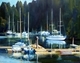 Harbour Shadows