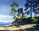 Sandwell Park Point, Gabriola Island *