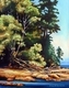 Tall Trees on Whalebone Beach, Gabriola Island